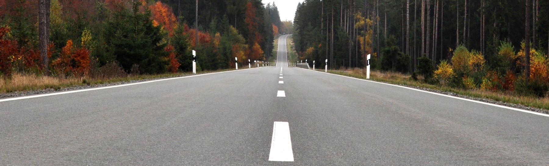Landstraße durch den Wald bei Hof